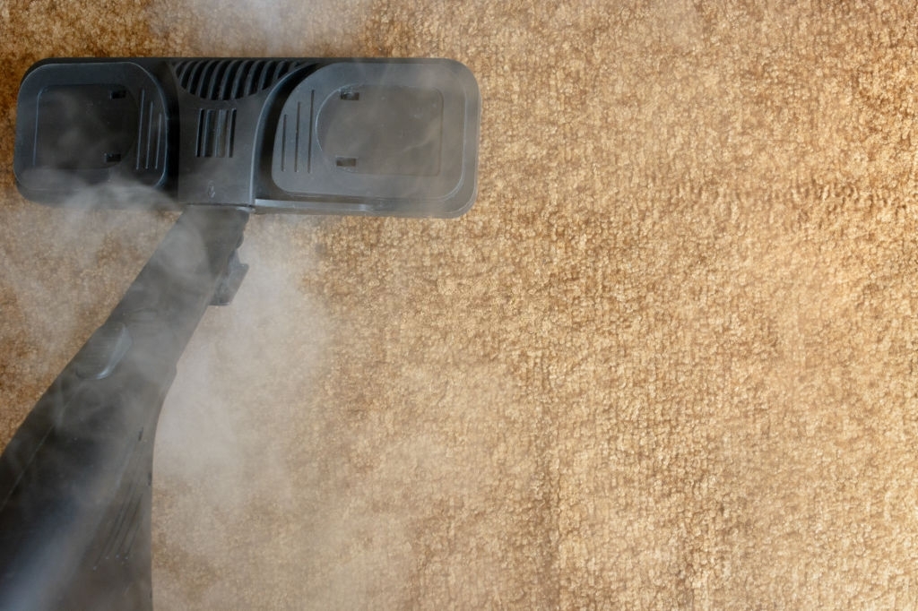 trophy club steam carpet cleaning